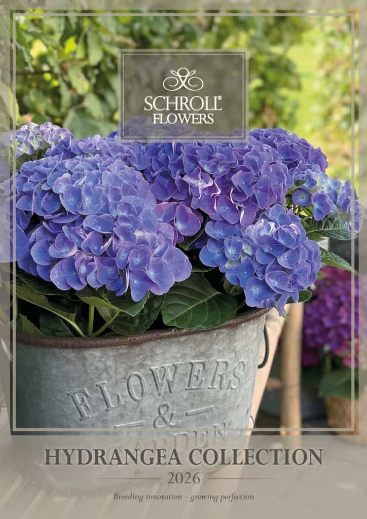 Schroll Flowers catalog 2026 frontpage